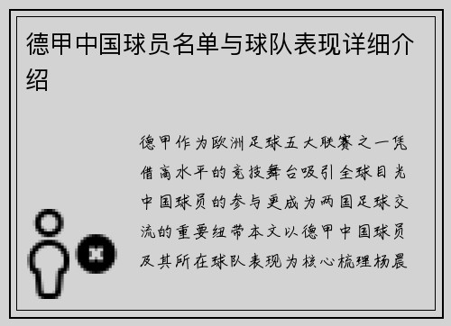 德甲中国球员名单与球队表现详细介绍