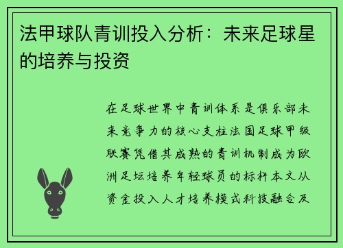 法甲球队青训投入分析：未来足球星的培养与投资